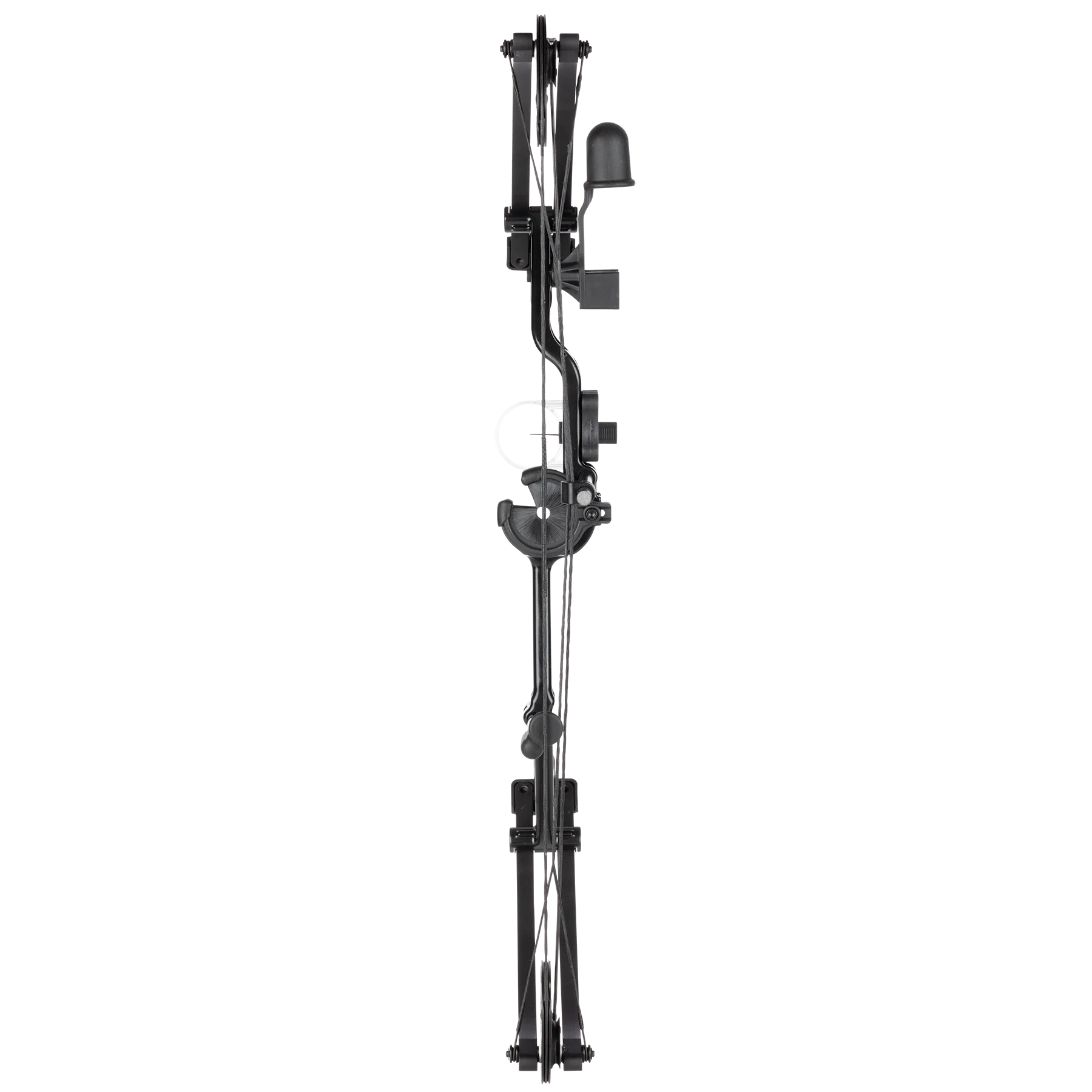 Pathfinder - Image 8