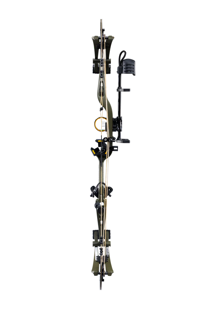Whitetail INT RTH Compound Bow - Image 3